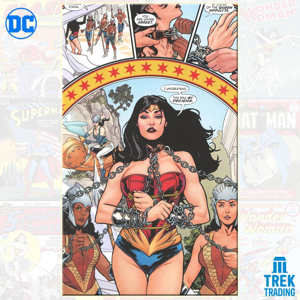 DC Comics Graphic Novel Collection SP13 Earth One: Wonder Woman, Green Lantern, Teen Titans - Image 3